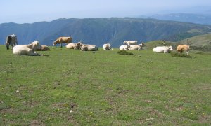 El cim de la muntanya del Matagalls, en una imatge d'arxiu