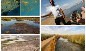 El Delta del Ebro, el Mar Menor, La Albufera, Doñana o Las Tablas de Daimiel son algunos de los ecosistemas emblemáticos de España que se encuentran amenazados y con problemas ecológicos.