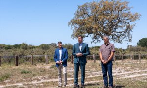 El presidente del Gobierno de España, Pedro Sánchez (c) acompañado del delegado del Gobierno en Andalucía, Pedro Fernández (i) y el director de la Estación Biológica de Doñana, Eloy Revilla (d).