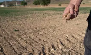 Un agricultor muestra la tierra seca, a 20 de abril de 2023, en Murcia, Región de Murcia (España).