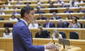 25/04/2023.- El presidente del Gobierno, Pedro Sánchez, en el pleno del Senado durante su comparecencia, la quinta monográfica de la legislatura, este martes en Madrid. EFE/ Kiko Huesca