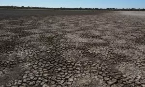 La laguna de Santa Olalla, en Doñana, en agosto de 2022.