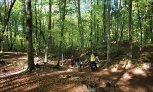 La Fageda d'en Jordà