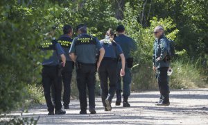 Agentes del Seprona de la Guardia Civil. Archivo.