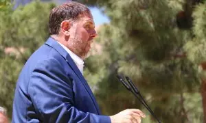 El president d'ERC, Oriol Junqueras, en un míting del partit aquest cap de setmana