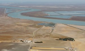 Paisaje de las marismas del Guadalquivir de Trebujena (Cádiz), el área en el que se proyecta una macrourbanización de hoteles, campo de golf y 300 viviendas