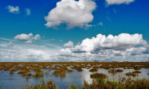 Antiguas marismas desecadas ubicadas al lado del proyecto de la macro urbanización que se ha proyectado en esta zona de Trebujena (Cádiz), a 17 de mayo de 2023.