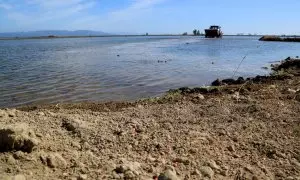 Llavors d'arròs de color taronja sobre la terra seca davant d'un camp inundat del delta de l'Ebre on un tractor dispersa i sembra el cultiu