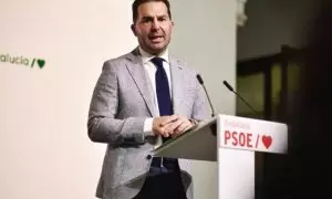 El secretario de Organización del PSOE de Andalucía, Noel López.