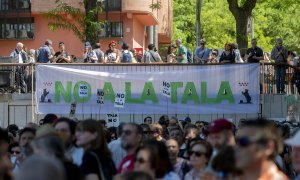 Ciudadanos se manifiestan en contra de talas de árboles en varios puntos de la ciudad de Madrid.