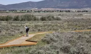 Un turista en las Tablas de Daimiel, a 26 de abril de 2023, en Ciudad Real, Castilla- La Mancha (España).