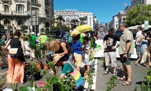 Colectivos en lucha por la crisis climática organizan una manifestación de plantas en Madrid