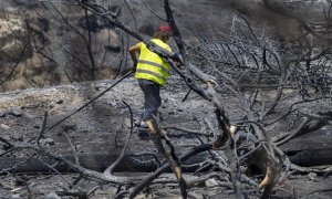 Un empleado repara el suministro eléctrico destruido en Kiotari, al sureste de Rodas, a 26 de julio de 2023, Grecia.