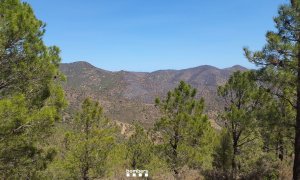 Imatge de la zona de l'incendi d'aquest diumenge