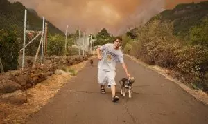 16/8/23 Vecinos de Los Margenes, en el pueblo de Igueste de Candelaria, evacuan enseres y animales ante el avance del fuego. En la imagen, un joven saca a sus perros de su casa.