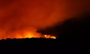 Llamas en las inmediaciones del municipio de Afaro, a 17 de agosto de 2023, en Afaro, Tenerife, Canarias.