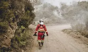 19/08/2023 - incendio Tenerife