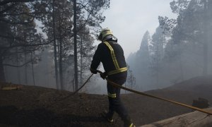 Bomberos de Güímar en el bosque de Las Raíces, hoy martes en el municipio de El Rosario, quemado por el incendio forestal que afecta a la isla de Tenerife.