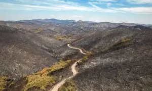 El humo se eleva mientras arde el incendio forestal en el Parque Nacional Dadia, en la región de Evros, Grecia, el 29 de agosto de 2023.