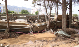 5-9-2023 Destrosses en un càmping del Montsià per la gota freda