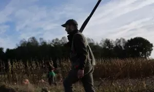 Un cazador pasea por el Tecor Santa Isabel en busca de caza menor, a 16 de octubre de 2022, en Lugo.