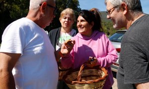 Un grup de boletaires comentant el que han trobat al Ripollès, en una imatge de la temporada passada