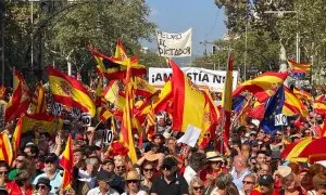 Manifestants a la proptesta convocada per Societat Civil Catalana contra l'amnistia i l'autodeterminació a Barcelona.