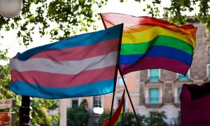 Dos banderas del colectivo LGTBIQ+ durante la manifestación del Orgullo, a 28 de junio de 2023, en Mallorca, (España). Tomàs Moyà / Europa Press