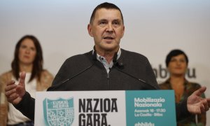 El coordinador general de EH Bildu, Arnaldo Otegi, durante la comparecencia de este lunes en Bilbao. LUIS TEJIDO/EFE