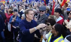 Alberto Núñez Feijóo, este sábado en la manifestación contra la amnistía en Madrid. EFE/ Borja Sánchez-Trillo