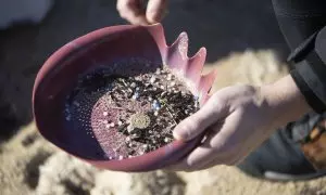 Voluntarios recogen microeplásticos o pellets, que han aparecido en toda la costa atlántica de Galicia, este domingo en la Playa de A Lanzada en O Grove.