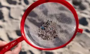 Voluntarios hacen una recogida de pellets de la arena, Galicia, a 7 de enero de 2024, en A Coruña.