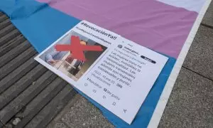 Una captura de pantalla de un tuit de la directora del Instituto de las Mujeres, Isabel García, durante una concentración convocada por la Federación Plataforma Trans, frente al Ministerio de Igualdad, a 9 de enero de 2024, en Madrid (España).