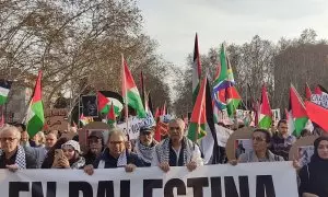 Varios manifestantes en Madrid, a 27 de enero de 2024