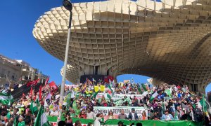 Las setas de la Encarnación, en Sevilla, este 28F.