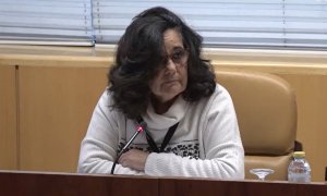 La portavoz de la Asociación por los Derechos de los Mayores y sus Familiares (Ademaf) y de Marea de Residencias, Carmen López, este lunes en la Comisión de Familia y Asuntos Sociales de la Asamblea de Madrid.