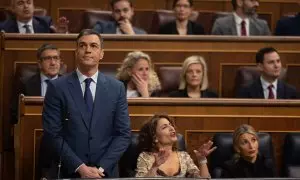 El presidente del Gobierno, Pedro Sánchez, interviene durante una sesión de control al Gobierno, en el Congreso de los Diputados, a 13 de marzo de 2024