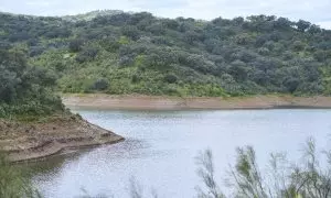 Detalle del embalse de la Minilla, en el Ronquillo, a 11 de marzo de 2024 en Sevilla