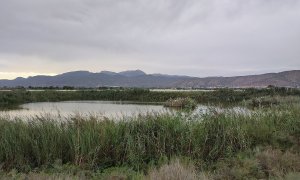 Los Saladares de Guadalentín, una de las Zonas Especiales de Conservación dentro de España cuyas aguas están más afectadas por la presencia de contaminantes persistentes como pesticidas y PFAs, según un estudio de IDAEA-CSIC.