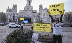 Miembros de Greenpeace y del colectivo vecinal No a la tala en la entrega simbólica de un ramo de bodas a José Luis Martínez-Almeida, a 5 de abril de 2024.