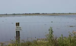 El Parque Nacional de Doñana aumenta el agua de su humedal, pero este continúa en riesgo de secarse.