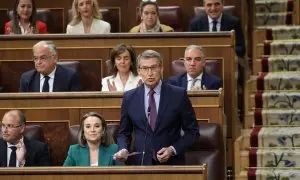 El presidente del PP, Alberto Núñez Feijóo, interviene durante una sesión de control al Gobierno, en el Congreso de los Diputados, a 24 de abril de 2024, en Madrid.