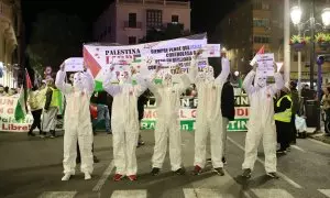 Varias personas disfrazadas y con carteles, durante una manifestación en apoyo a Palestina, a 29 de noviembre de 2023.