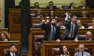 Diputados Vox