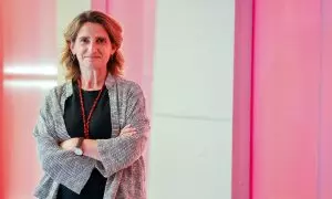 Teresa Ribera, vicepresidenta tercera, ministra de Transición Ecológica y candidata del PSOE a las elecciones europeas, tras la entrevista con 'Público'.