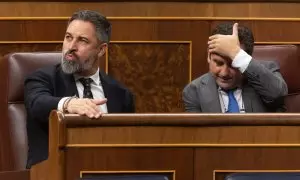 El líder de VOX, Santiago Abascal, durante una sesión plenaria, en el Congreso de los Diputados