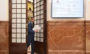 El presidente del Gobierno, Pedro Sánchez, en el Congreso.