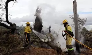 Efectius de les ADF treballant per extingit el foc a l'alzina mil·lenària de Can Gol en una imatge d'arxiu