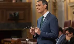 El presidente del Gobierno, Pedro Sánchez, durante su intervención en el Congreso este miércoles 17 de julio.