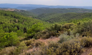 La zona on es vol instal·lar el macrocamp d'entrenament, al terme municipal de Rubió